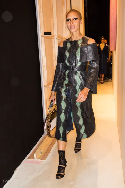 Look 12